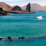 Llega a Puebla empresa chilena productora de papel higiénico, BBTips y Chicolastic