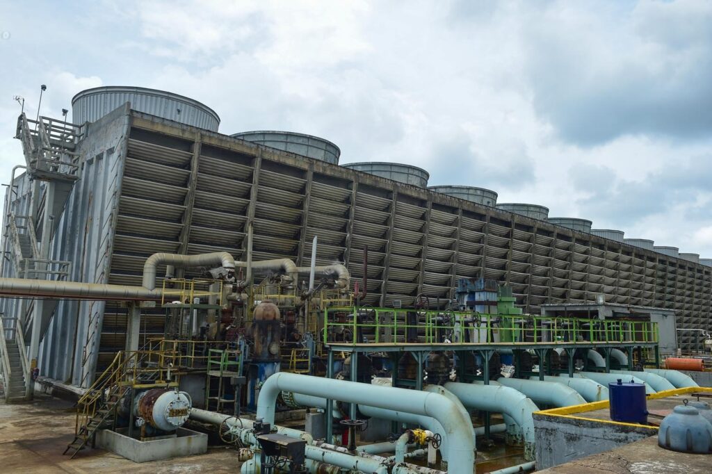 FAO anticipa mayor demandada de fertilizantes para atender requerimientos alimentarios