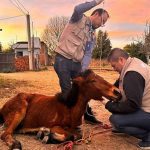 Se debe investigar desvío de TUA para fincar responsabilidades administrativas y ministeriales: expertos