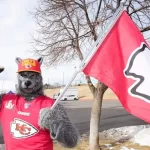 Abre IMSS-Bienestar convocatoria para basificar a 4,010 médicos especialistas