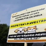 Suspende EU apoyo para representar a niños no acompañados en tribunales